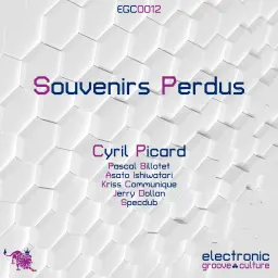 Cyril Picard - Souvenirs Perdus