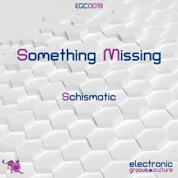 Schismatic - Something missing