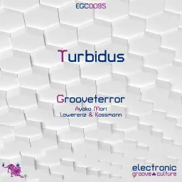 Grooveterror - Turbidus
