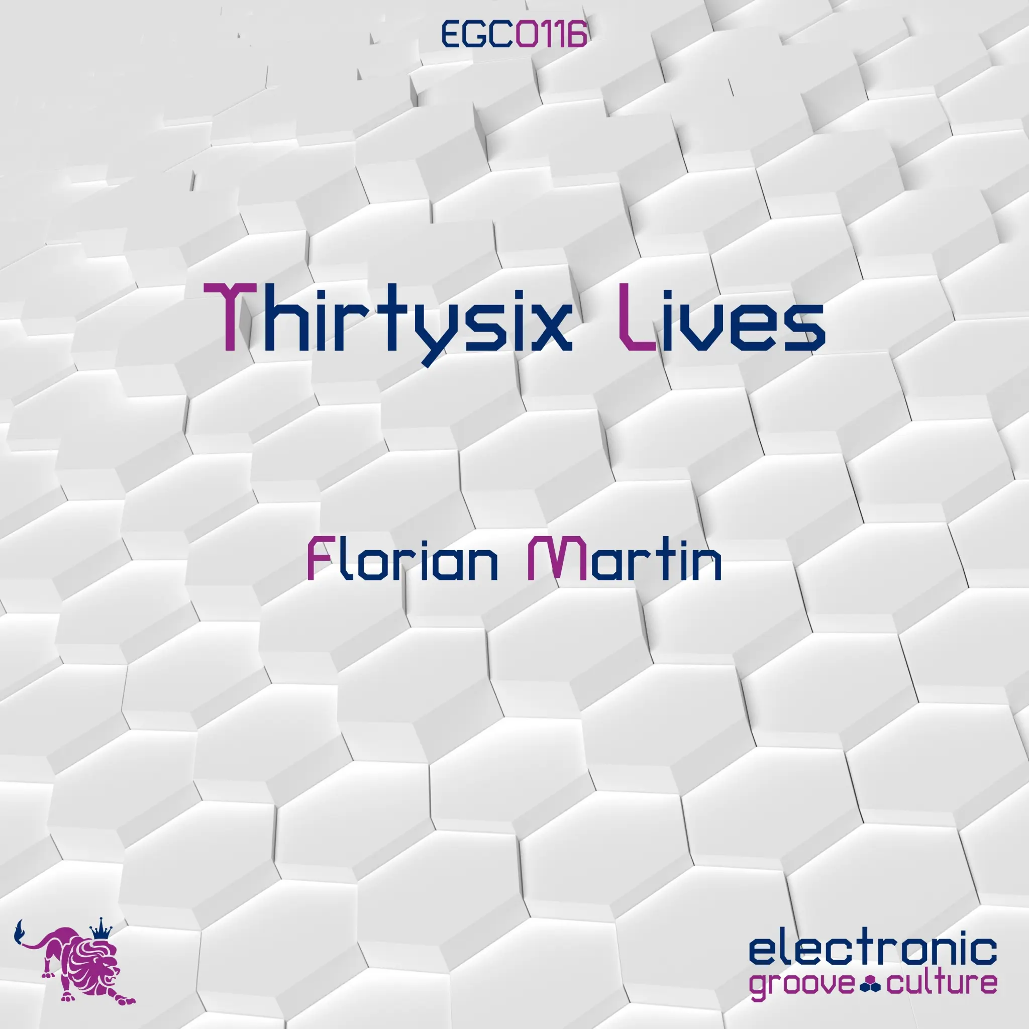 Florian Martin - Thirtysix Lives