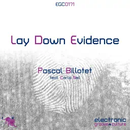 Pascal Billotet - Lay Down Evidence